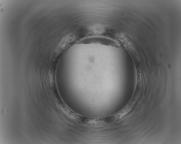 X0000062170568200512161254