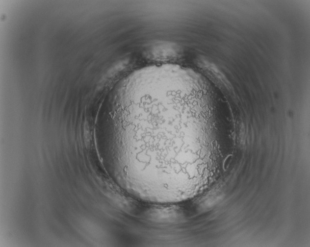 X0000062170569200512161254