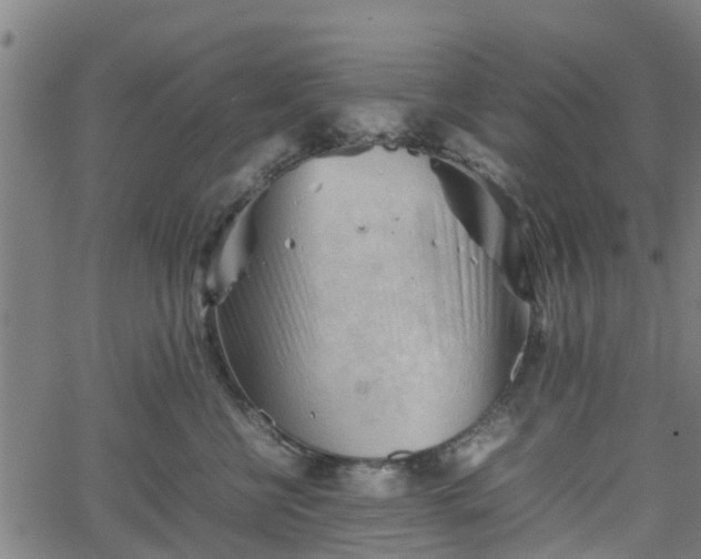 X0000062170570200512161254