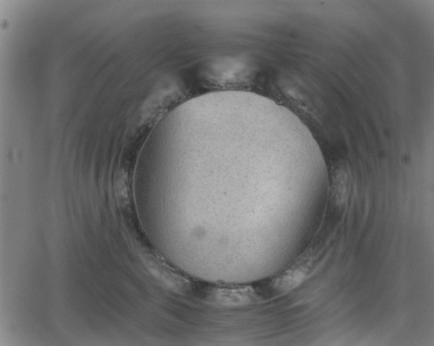 X0000062170571200512161254