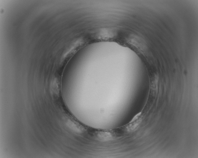 X0000062170572200512161254