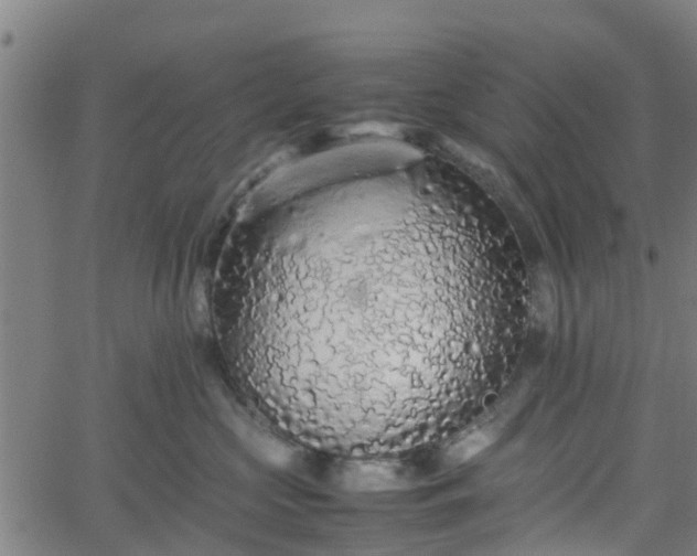 X0000062170573200512161254