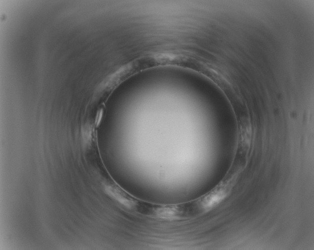 X0000062170574200512161254