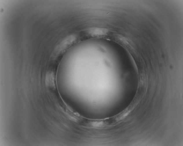 X0000062170575200512161254