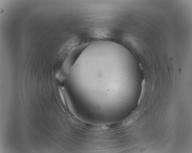 X0000062170576200512161254