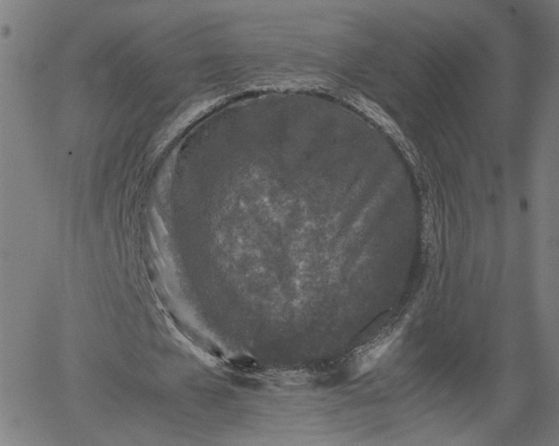 X0000062170577200512161253