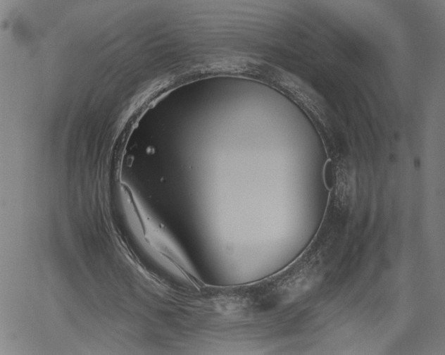 X0000062170578200512161253