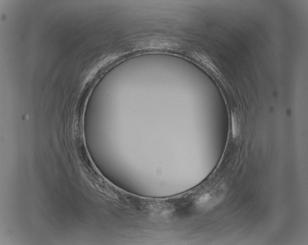 X0000062170579200512161253