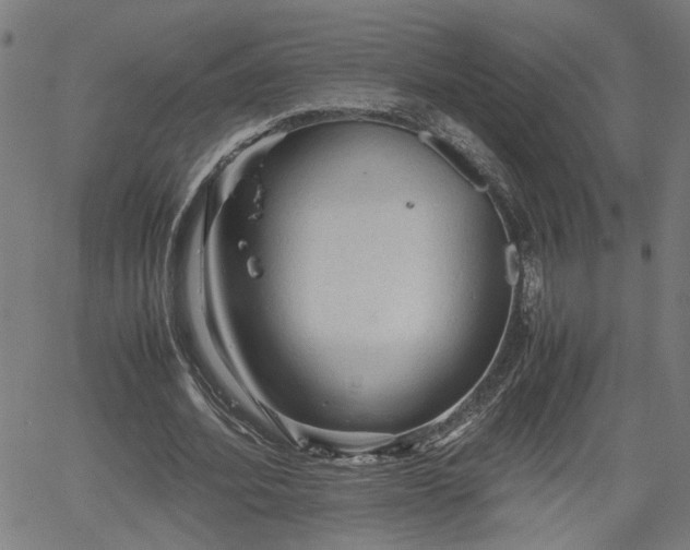 X0000062170580200512161253