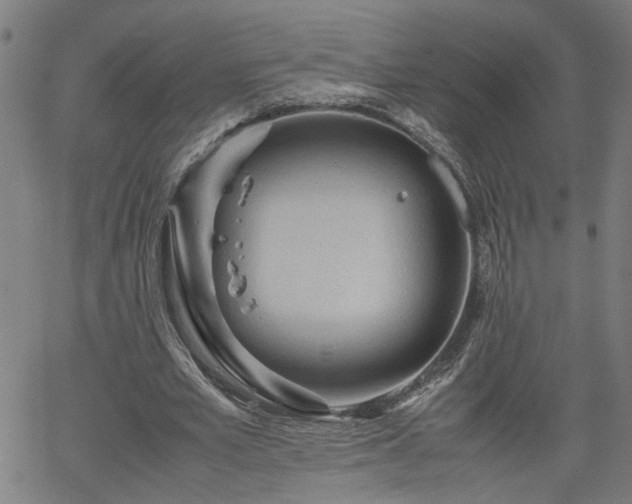 X0000062170581200512161253