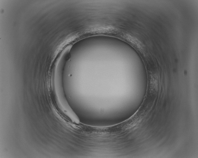 X0000062170582200512161253