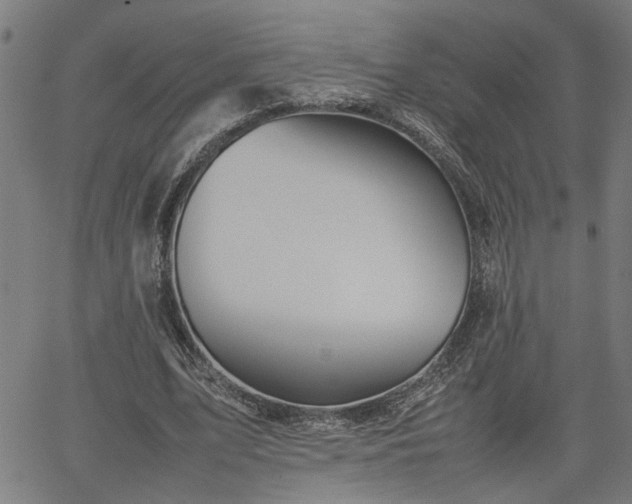 X0000062170583200512161253