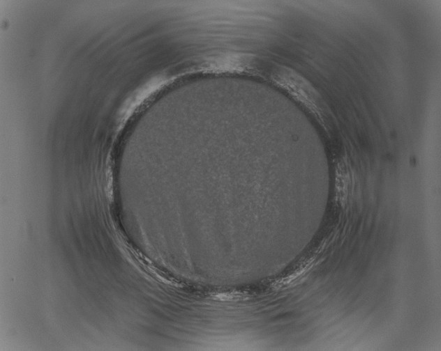 X0000062170584200512161253