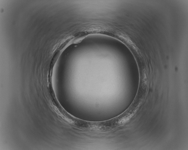 X0000062170585200512161253