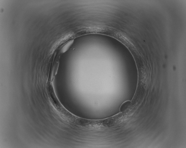 X0000062170586200512161253