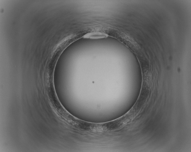 X0000062170587200512161253