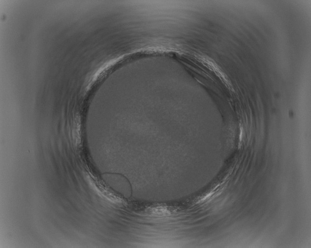 X0000062170588200512161253