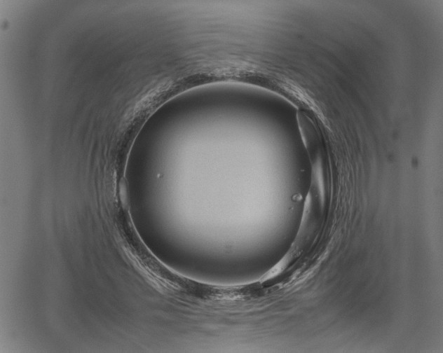 X0000062170589200512161253