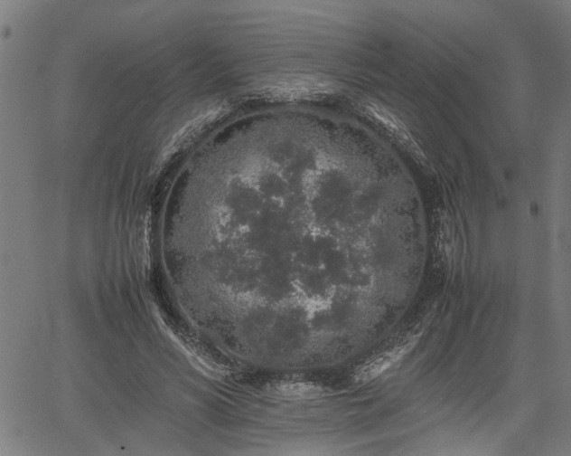 X0000062170590200512161253