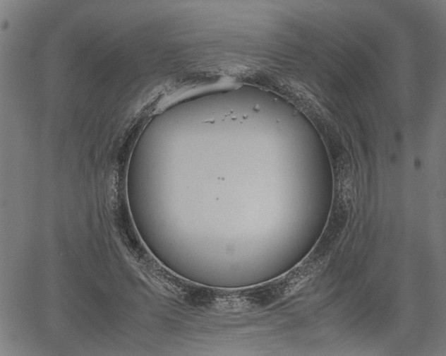 X0000062170591200512161253