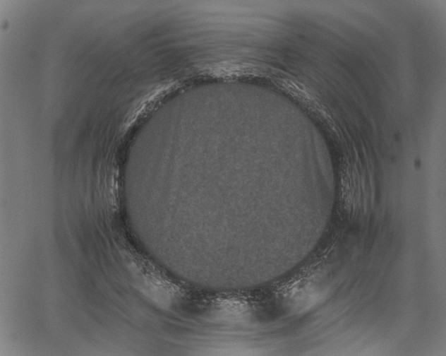 X0000062170592200512161253