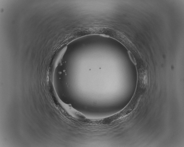 X0000062170593200512161253