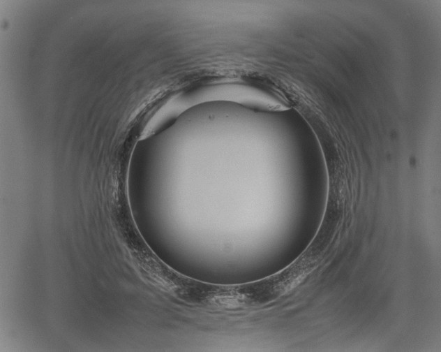 X0000062170595200512161253