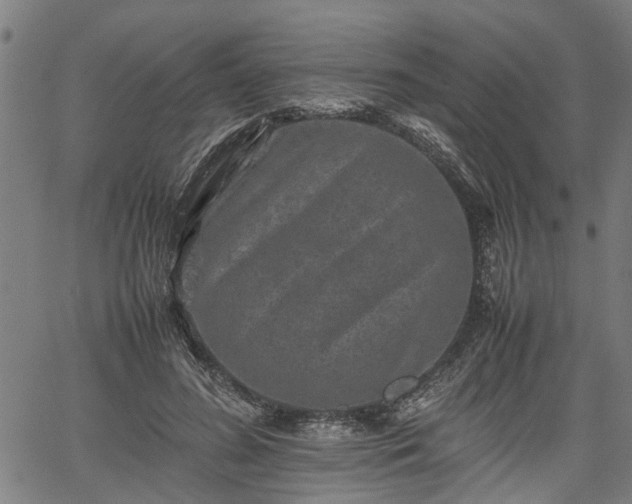 X0000062170596200512161253