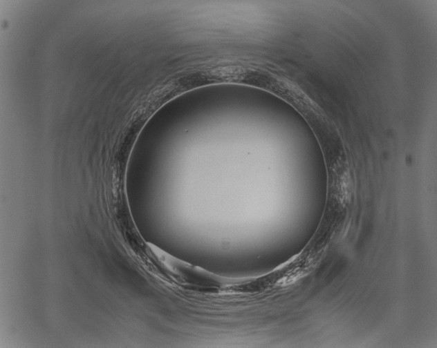 X0000062170597200512161253