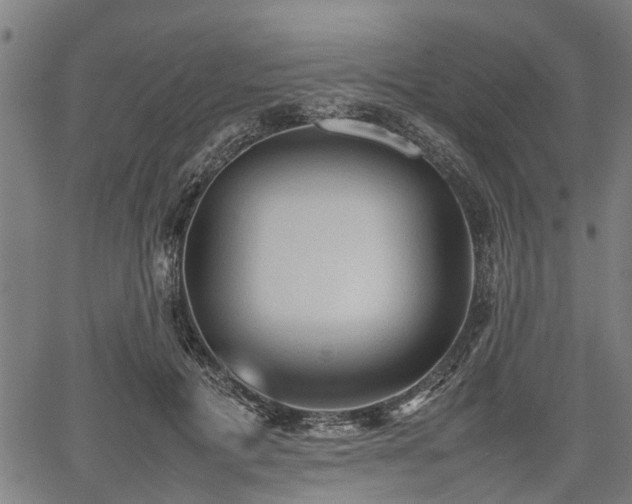 X0000062170601200512161253