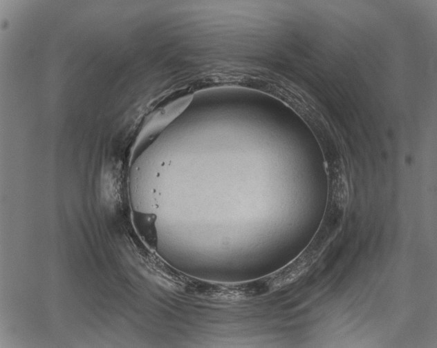 X0000062170604200512161253