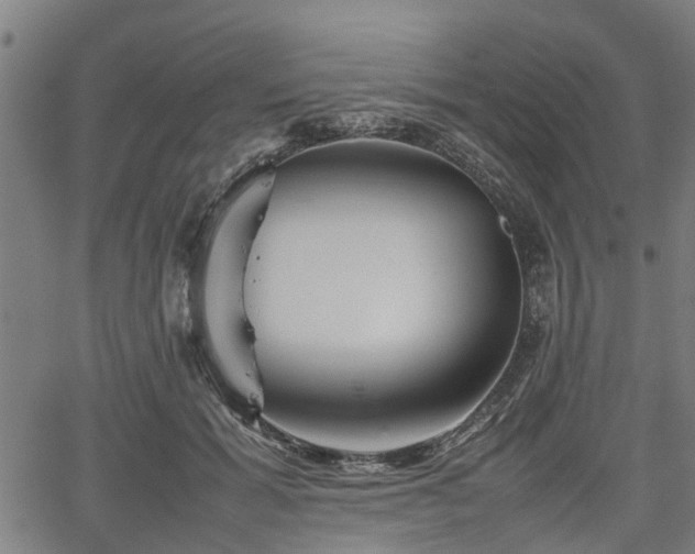 X0000062170605200512161253