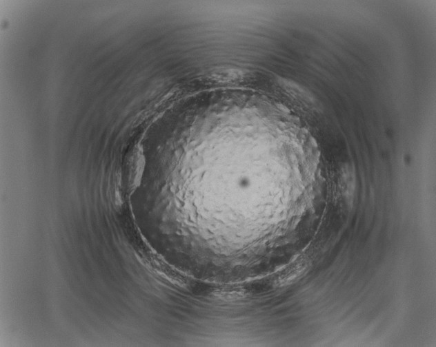 X0000062170606200512161253