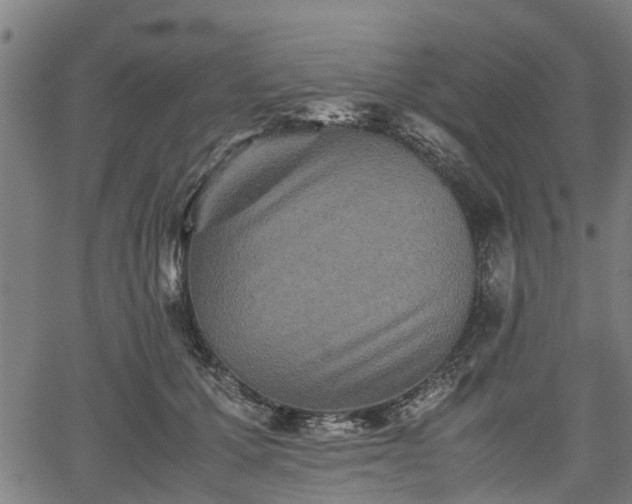 X0000062170607200512161253