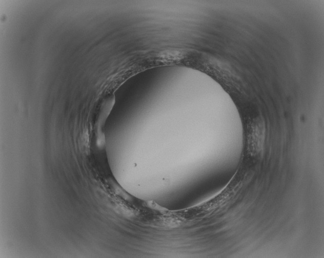 X0000062170608200512161253