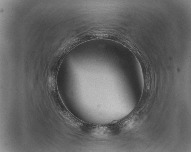 X0000062170609200512161253