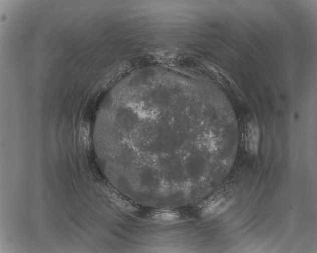 X0000062170610200512161253