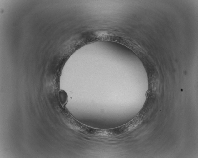 X0000062170611200512161253