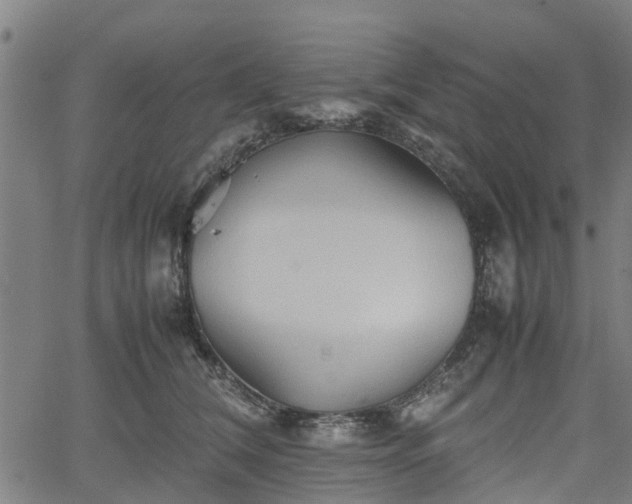 X0000062170612200512161253