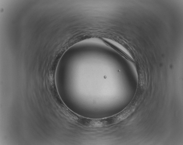 X0000062170613200512161253