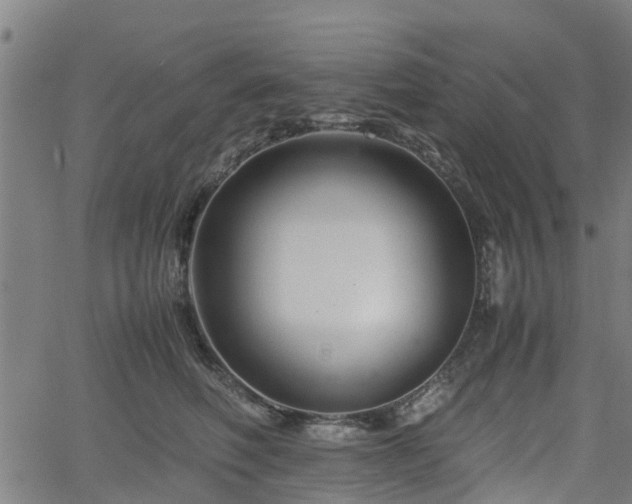 X0000062170614200512161253