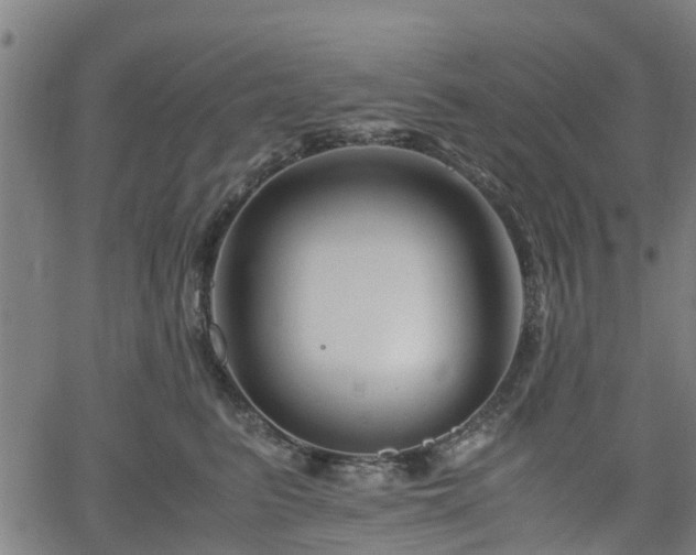 X0000062170615200512161253