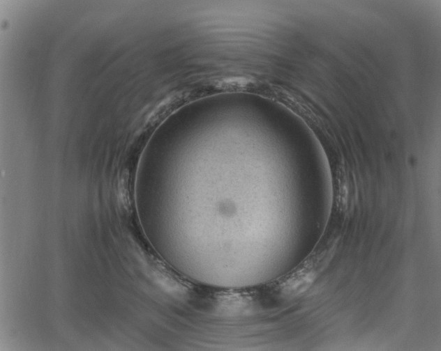 X0000062170616200512161253