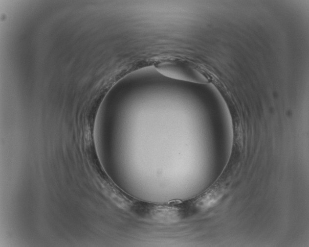 X0000062170617200512161253