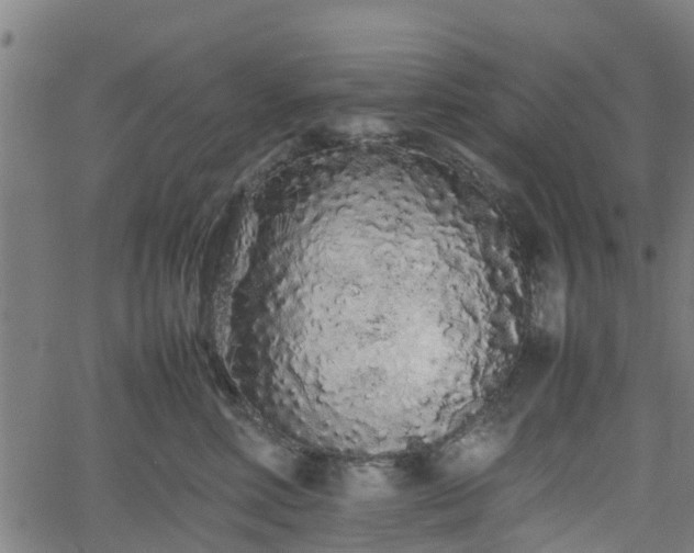 X0000062170618200512161253