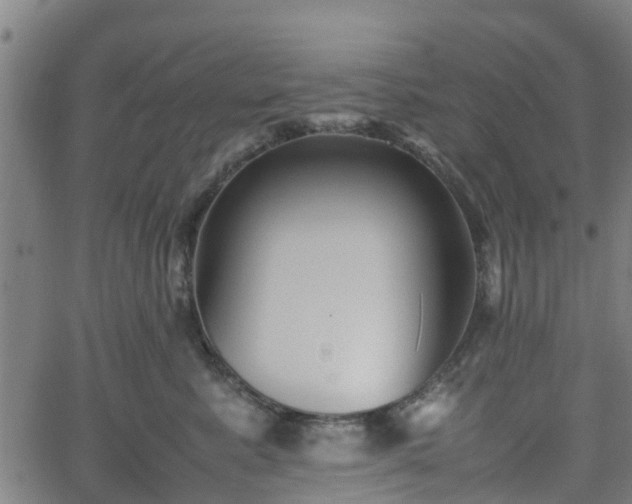 X0000062170619200512161253