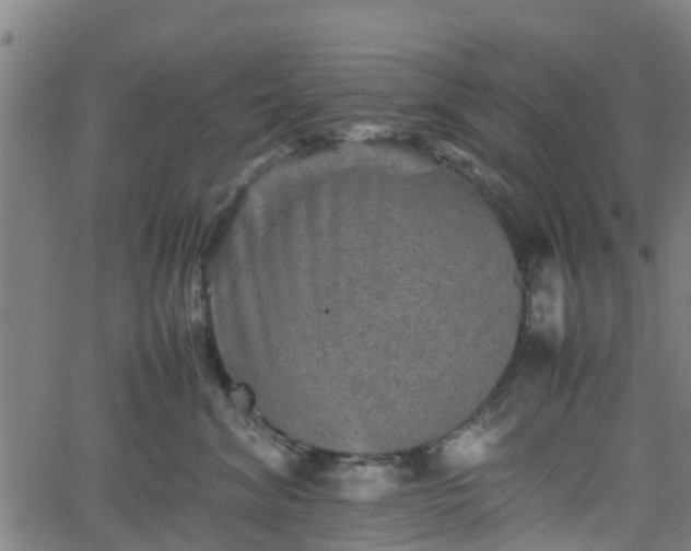 X0000062170620200512161253