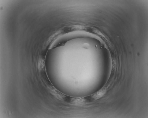 X0000062170621200512161253