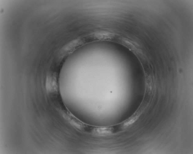 X0000062170622200512161253