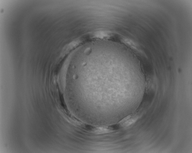 X0000062170623200512161252